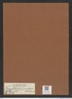 Triceratium junctum A. Schm. (de-Toni-Nr.: Genus 137, Species 3656) Zeichnungen Sammlung Grunow Mappe 03788 (Herbarium_W_Grunow_drawings_Folder_03788)